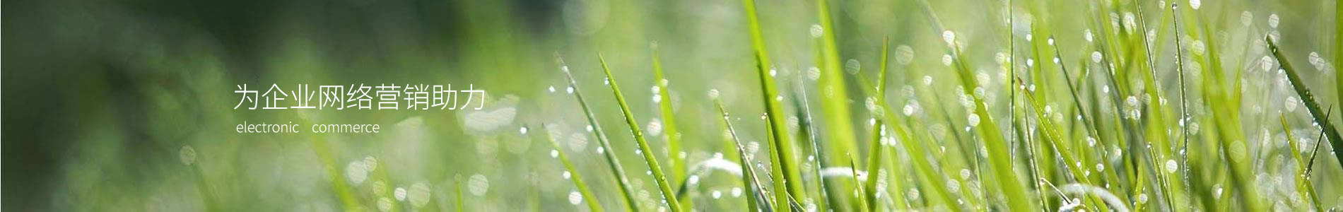 ٺ񻷱Ƽ޹˾